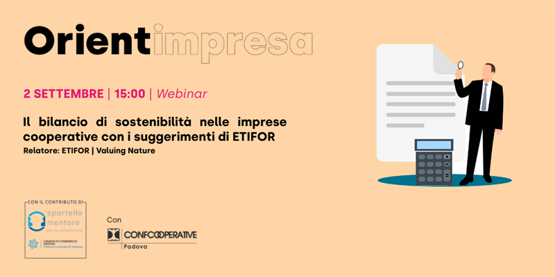Rassegna Orientimpresa - Webinar “Il bilancio di sostenibilità nelle imprese...